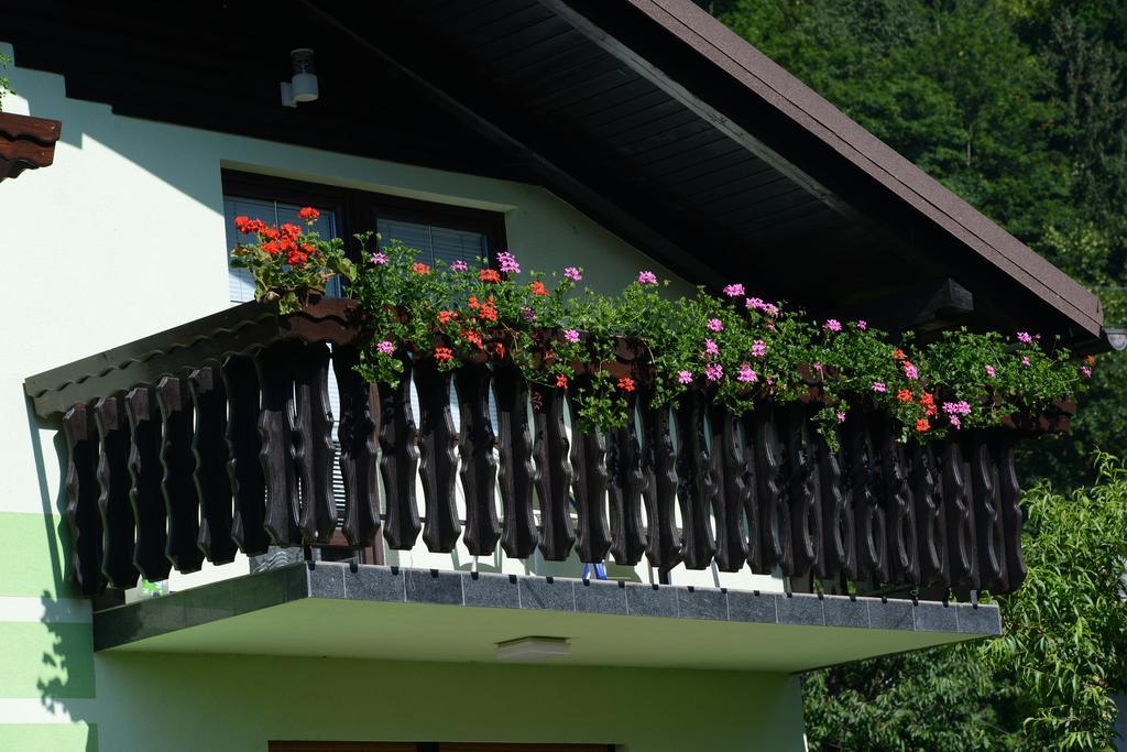 Zeleni Apartma Zreče Exterior foto