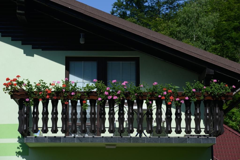 Zeleni Apartma Zreče Exterior foto
